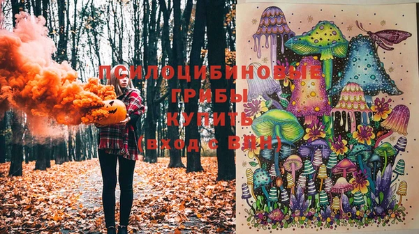 ешки Бронницы
