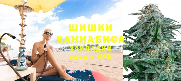 спайс Бородино