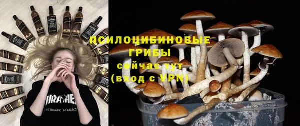 спайс Бородино