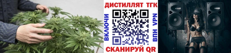 mega зеркало  Рыбинск  ТГК гашишное масло 