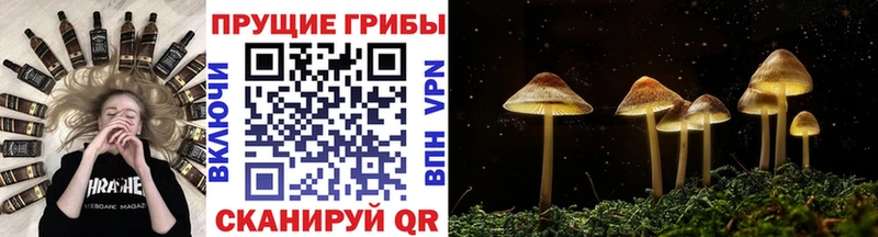 Галлюциногенные грибы MAGIC MUSHROOMS  Рыбинск 